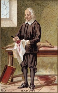 Portrait of William Harvey (1578-1657), English physician by French School