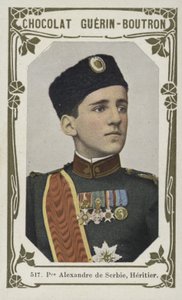 Prince Alexander of Serbia, Heir by French School