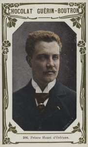 Prince Henry of Orleans by French School