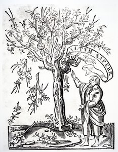 Printers Emblem of Robert Estienne, Paris, 1526 by French School