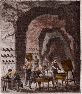Production of Champagne - Engraving in 