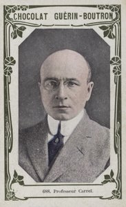 Professor Carrel by French School
