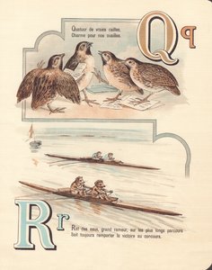 Quail, quartet, rat, race