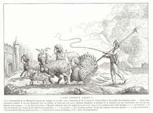 Rare Animals by French School