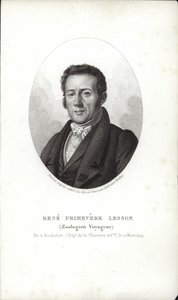 René Primevère Lesson