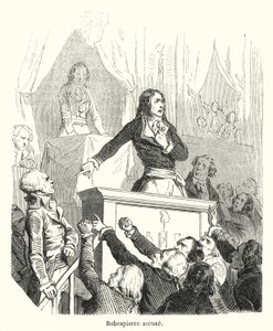 Robespierre Accused by French School