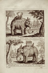 Royal elephants, from Voyage du Siam des Peres Jesuites by Guy Tachard, 1688 by French School