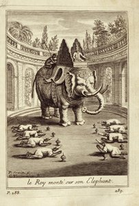 Royal elephants, from Voyage du Siam des Peres Jesuites by Guy Tachard, 1688 by French School
