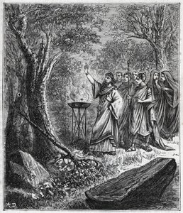 STRUFERTARI (festival in ancient Rome to purify the blasted trees) - Engraving in Sciences brought to the grasp of all - popular physics and chemistry by Alexis Clerc - End of 19th century. Private collection.