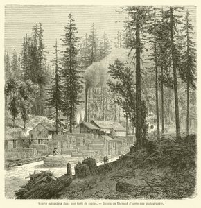 Mechanical Sawmill in a Pine Forest (engraving) by French School
