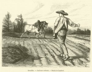 Sowing, Ancient Method (engraving) by French School