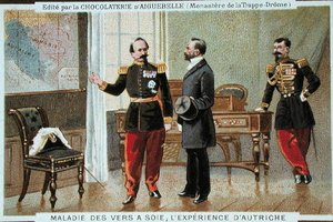 Silkworm disease in Austria, advertising card for the Chocolaterie d