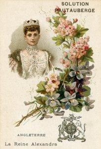 Solution Pautauberge trade card, Alexandra of Denmark by French School