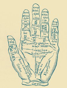 Specimen of the Left Hand