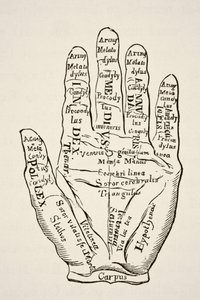 Specimen of the Left Hand with the Lines and Their Horoscopic Denominations, from 