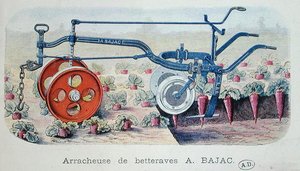 The Bajac Machine for lifting beetroot