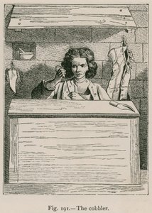 The Cobbler by French School