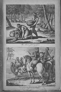 The Moors gathering Gums and Conveying the Gums to Senegal, illustration from 