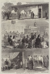 The Paris International Exhibition by French School
