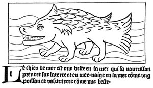The Sea-Dog by French School