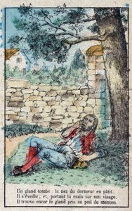 The acorn and the pumpkin. Fables by Jean de La Fontaine by French School