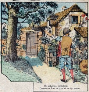 The Acorn and the Pumpkin. Fables by Jean de La Fontaine (1621-95). Imaging of Epinal from the End of the 19th Century by French School