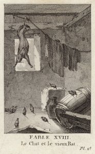 The Cat and the Old Rat