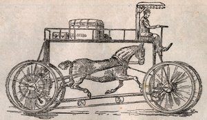 The Hippocycle: Invention for 