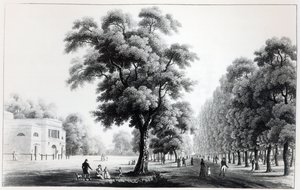 The Main Avenue in the Prater, Vienna, 1821