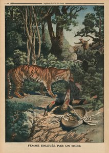 Tiger attacking a woman, back cover illustration from 
