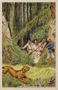 Tiger Hunting