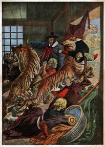 Tiger Attack