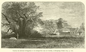 Tombs of Mistress Livingstone and Kirkpatrick under a Baobab, at Shoupanga House by French School