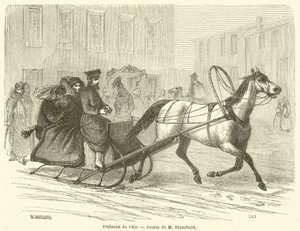 City sleigh