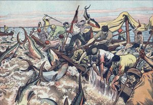 Tuna Fishing in Tunisia: 1925 by French School