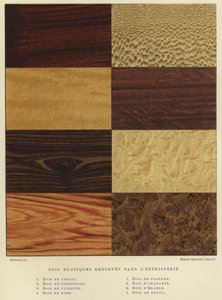 Types of Exotic Wood Used in Cabinet Making by French School