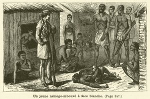 A Young White-Faced Nshiego-Mbouve (engraving)