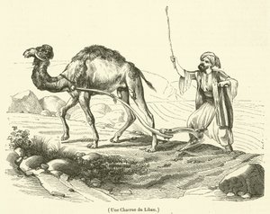 A Plow from Lebanon by French School