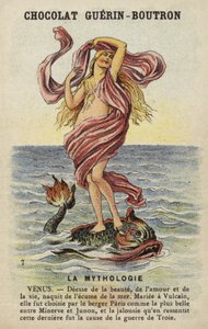 Venus by French School