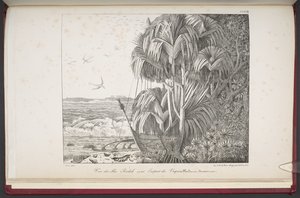 View of the Radak Islands, from 