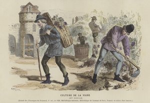 Viticulture, 15th Century by French School