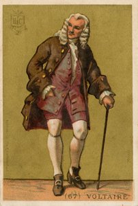 Voltaire by French School