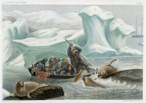 Walrus Hunting - in “The World of the Sea” by Alfred Fredol, Hachette, Paris