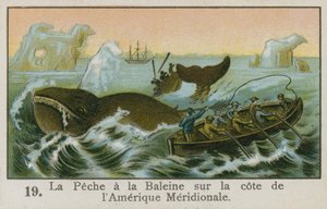 Whaling off the Coast of South America by French School