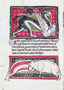 Wild Boar and Griffon, miniature from the Saltykowchsh Edrin Bestiary