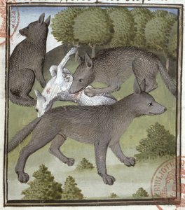 Wolves, from the Livre de la Chasse by Gaston Phebus by French School