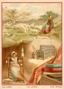 Wool by French School