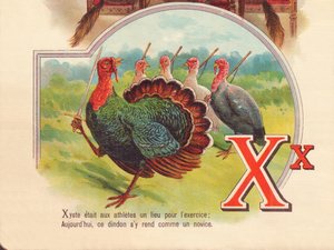 Xyste was a place for athletes to exercise; today, this turkey goes there like a novice by French School