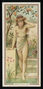 Young Woman in a Garden, Greetings Card by French School