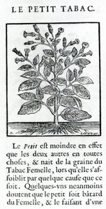 Le Perit Tabac, Illustration from Discours du Tabac by Jean Le Royer de Prade, 1671 by French School